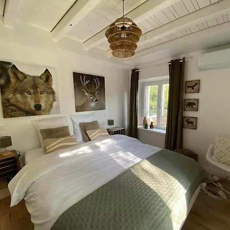 Renove En Bordure De Foret