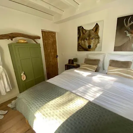 Hébergement de vacances Renove En Bordure De Foret