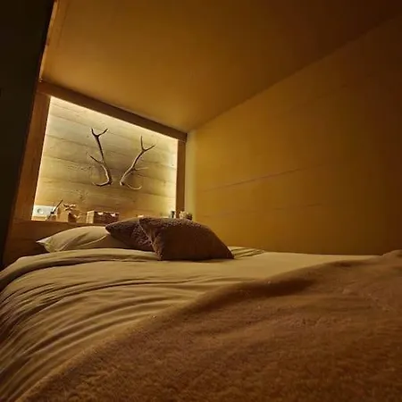 Renove En Bordure De Foret *