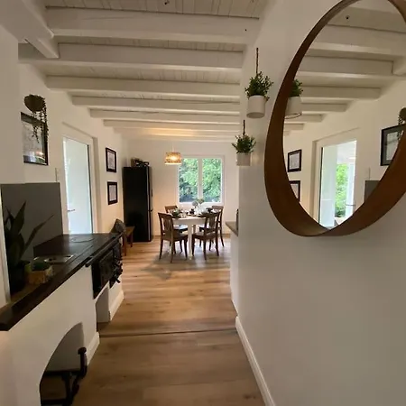 Renove En Bordure De Foret