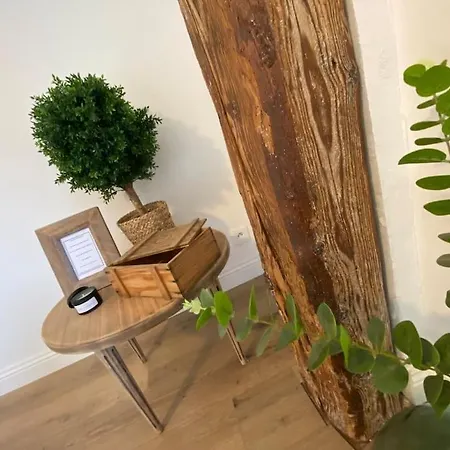 Renove En Bordure De Foret