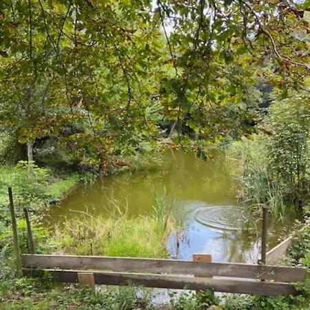 Renove En Bordure De Foret בית נופש