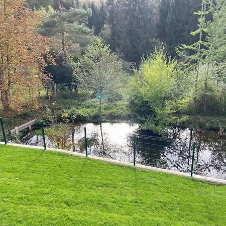 Renove En Bordure De Foret *
