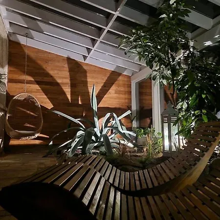 Renove En Bordure De Foret