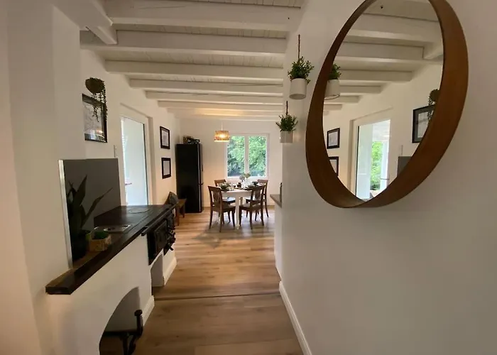 Renove En Bordure De Foret