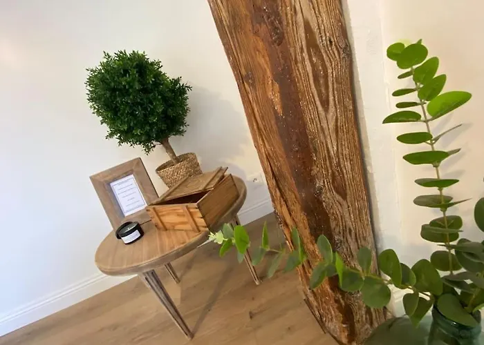 Renove En Bordure De Foret