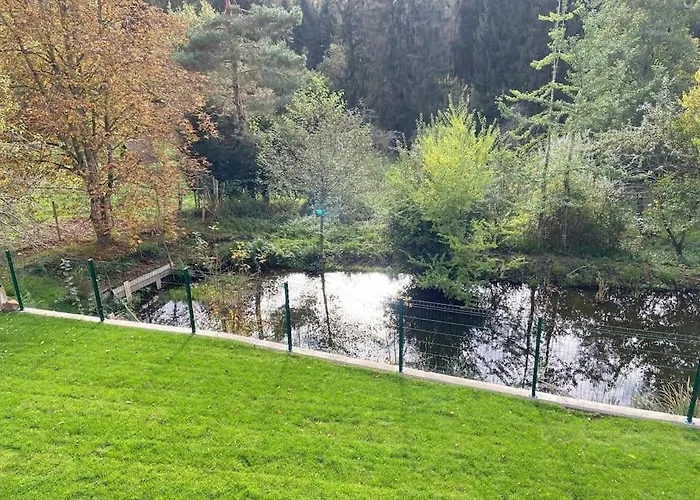 Renove En Bordure De Foret *